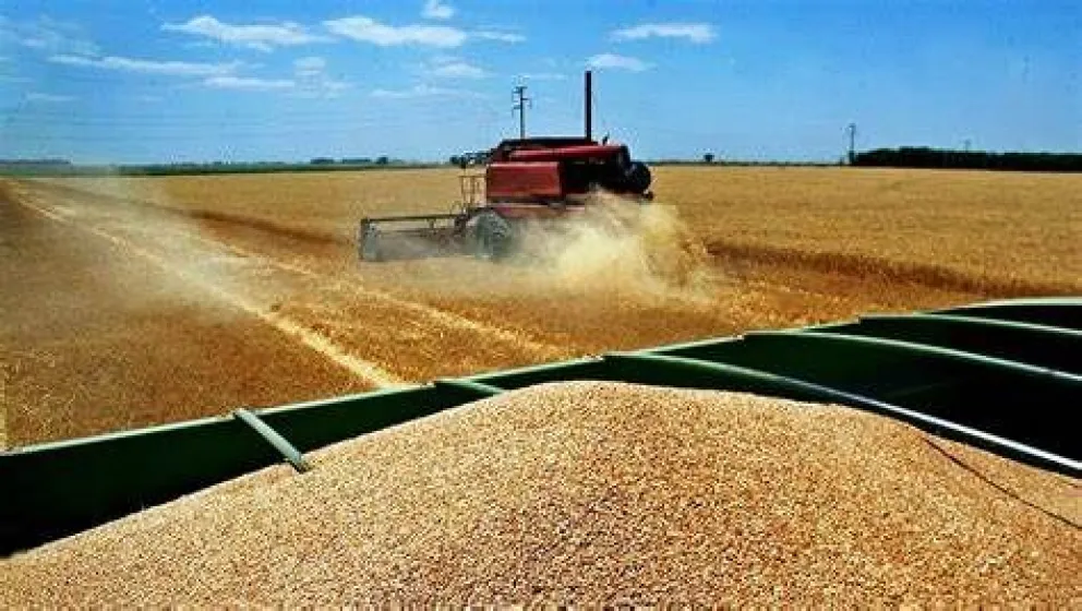 Para el 2024 se espera que las agroexportaciones aportarán 43.000 millones de dólares al país