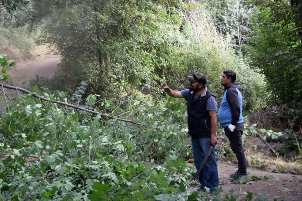 En menos de un mes, planean unir el Alto con el Ñireco
