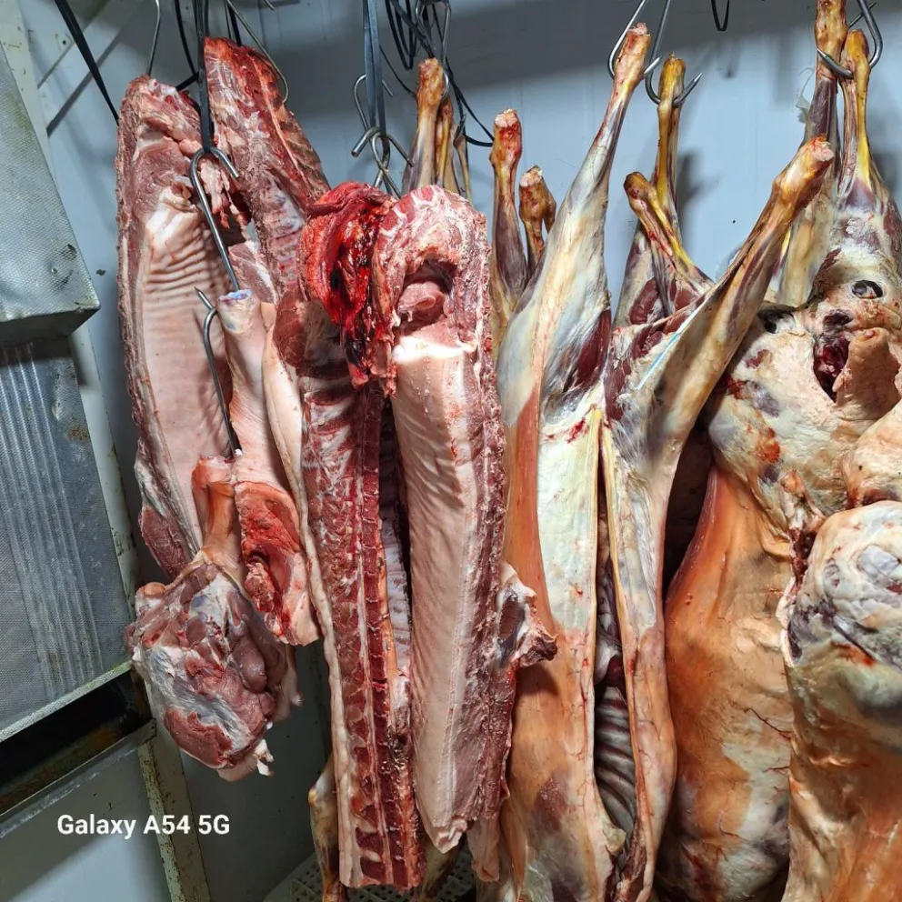 Inspección General intervino mercadería cárnica sin cuidados de salubridad e higiene