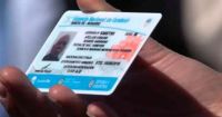 ¿Qué pasa con los plásticos para licencias de conducir? Las medidas tomadas en Bariloche
