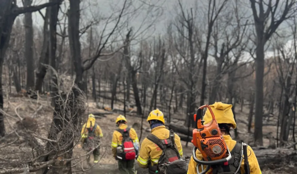 El incendio de brazo Tristeza esta "detenido" pese al humo que se puede observar 