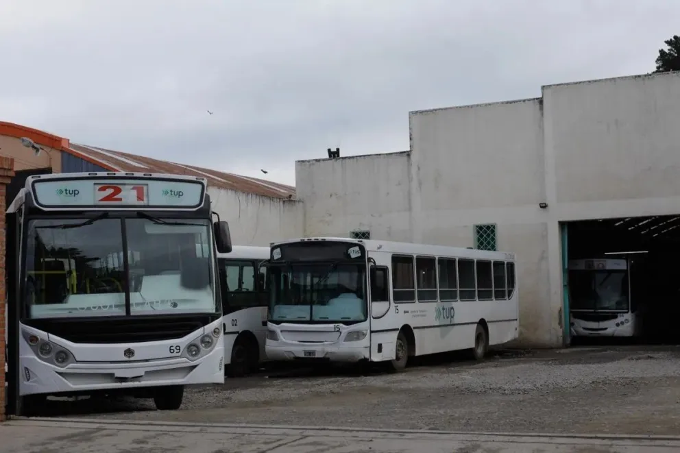 Delincuente alcoholizado intentó robar herramientas de Mi Bus pero terminó preso