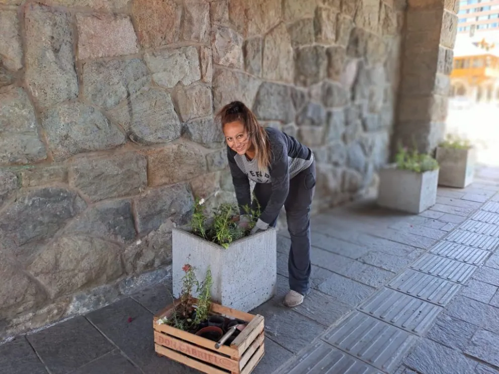 Instalaron canteros en toda la zona del Centro Cívico 