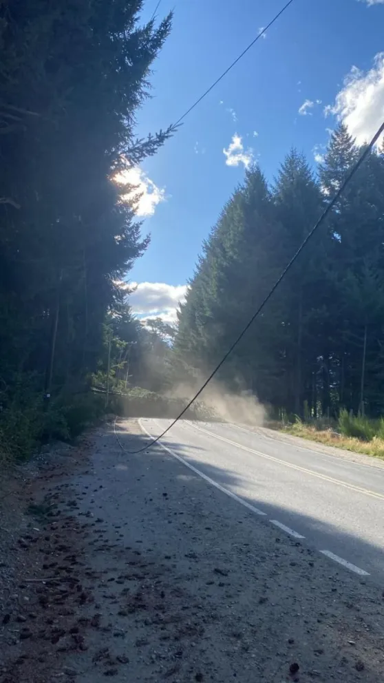 Un árbol caído en Circuito Chico provoca corte de luz en la zona