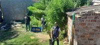 Operativo “Lady Chala”: PFA secuestró plantas de marihuana y detuvo a una mujer en el Alto Valle
