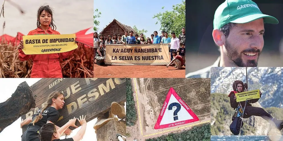 Un diputado de La Libertad Avanza propuso expulsar a Greenpeace del país