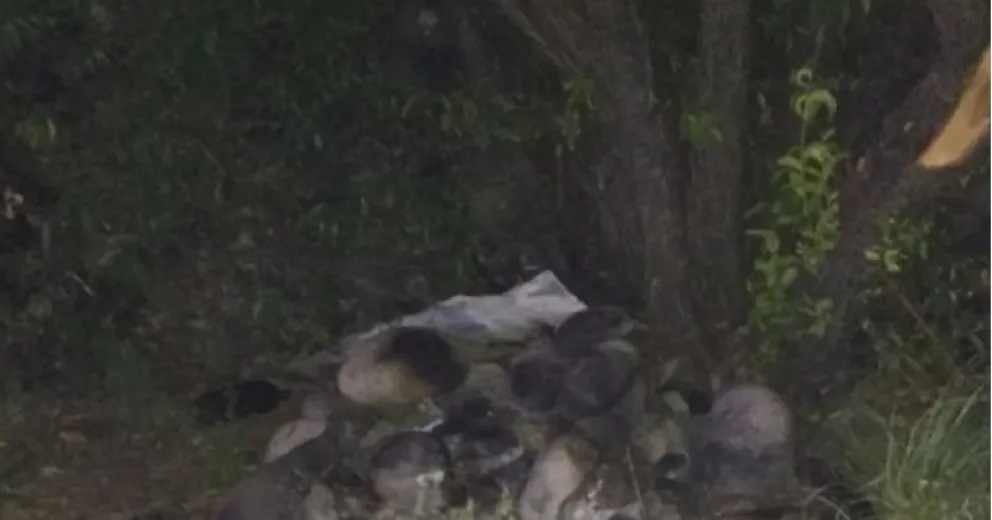 Siguen Haciendo fuego en lugares de enorme peligro