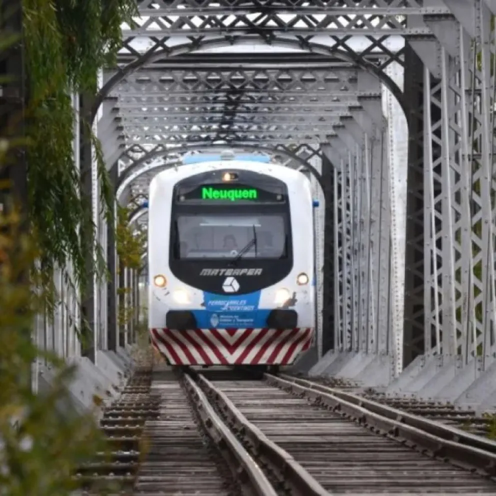 Reclaman a la justicia federal la vuelta del Tren del Valle