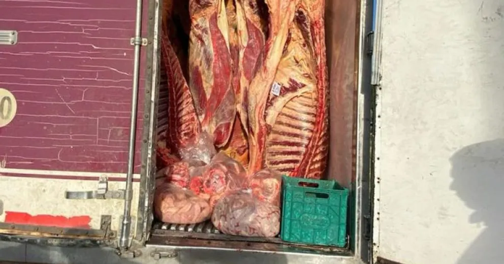 Secuestraron más de 4.000 kilos de carne vacuna