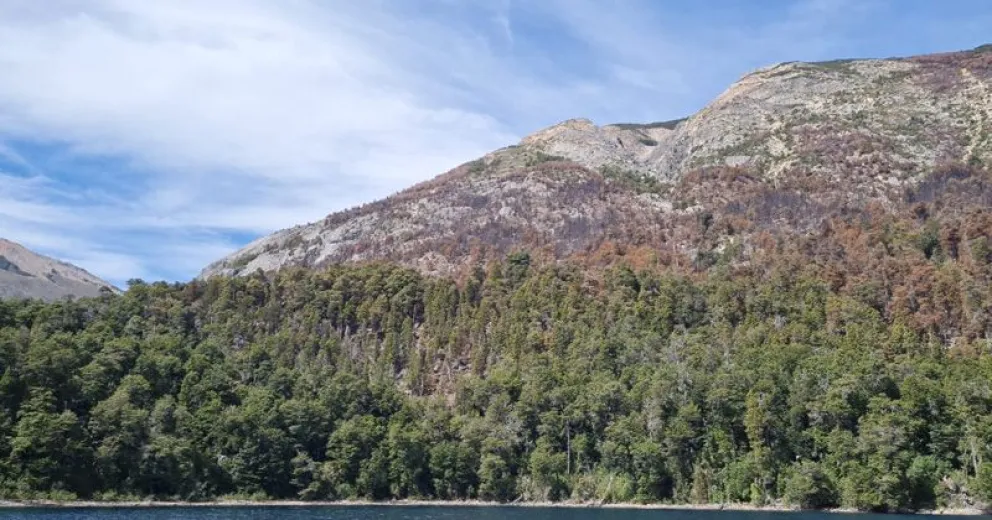 Incendio en el Cretón: bajo control y en proceso de extinción