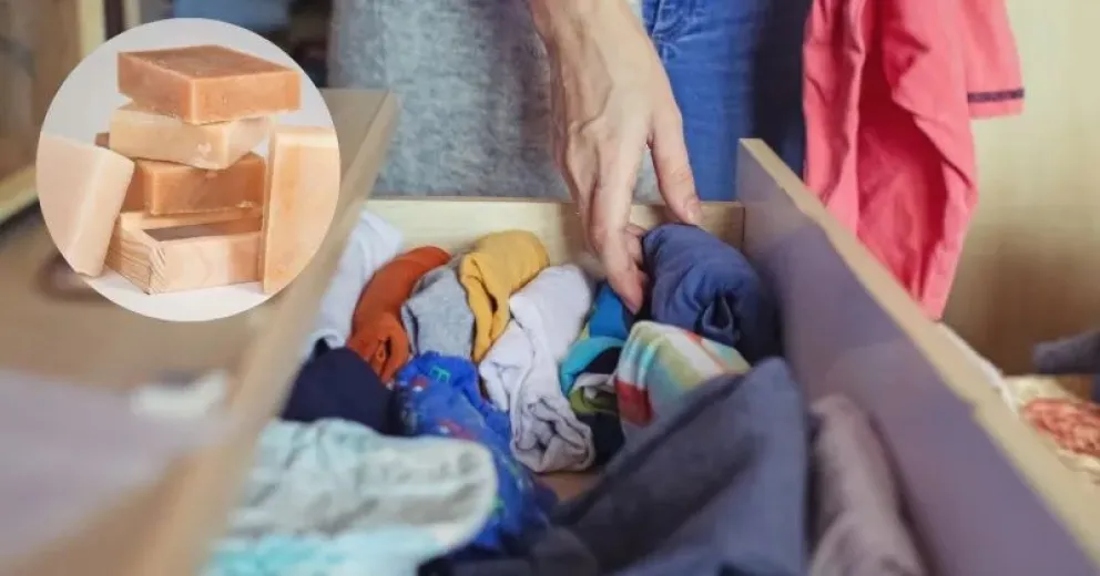 Truco casero: para qué sirve poner un jabón en el cajón de tu ropa