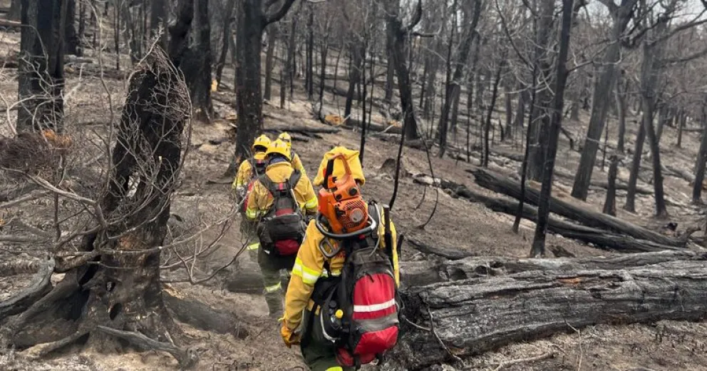 Allanaron una agencia de turismo en Bariloche por el inmenso incendio en brazo Tristeza