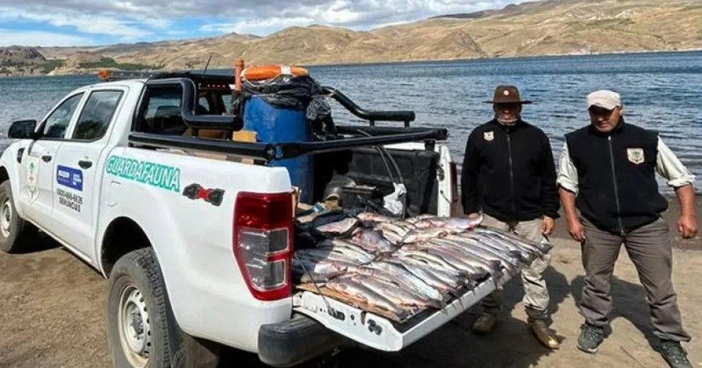 Encontraron cazadores y pescadores furtivos en la zona de Traful y Alicura