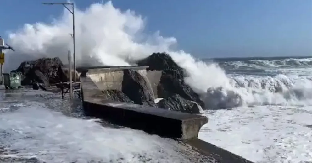 ¿Por qué cultivar la memoria de los desastres?