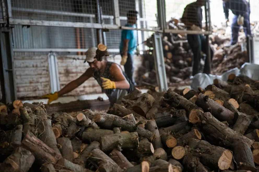 Plan Calor: las familias de los parajes comenzarán a recibir la leña 