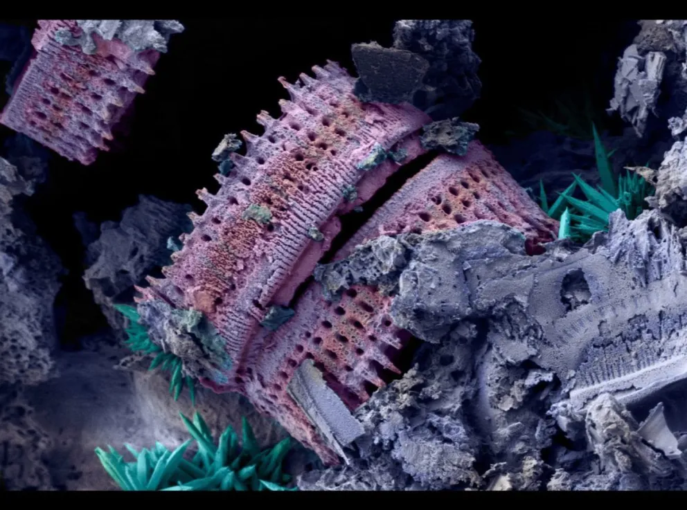 Una pareja de estudiantes del CRUB obtuvo tres premios de fotografía 