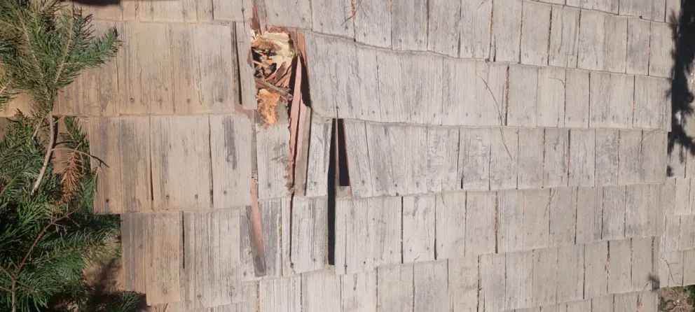 Grave denuncia de un complejo de cabañas sobre el trabajo de apeo de una empresa en la calle José Ingenieros