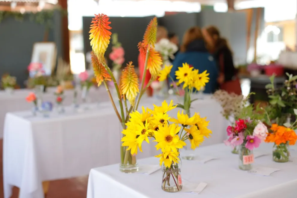 La Sociedad de Horticultura invita a la Exposición de Otoño 2024
