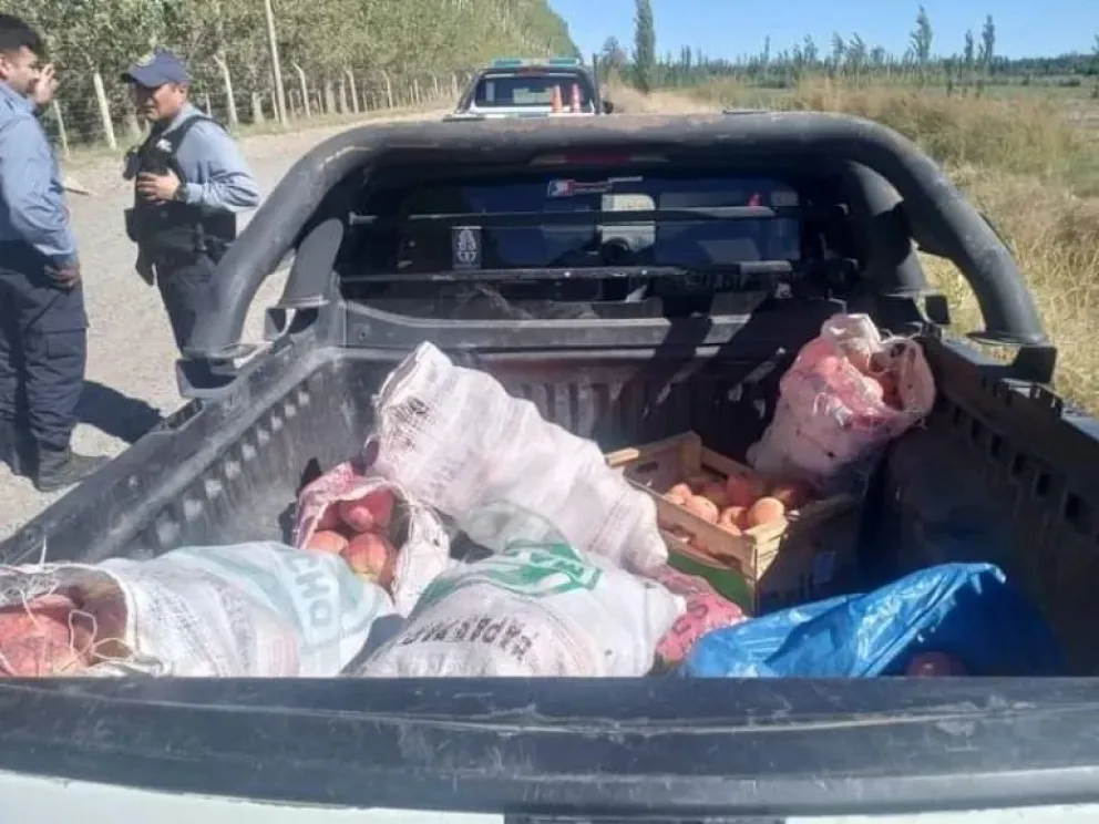 Los detuvieron mientras intentaban robar frutas en una chacra