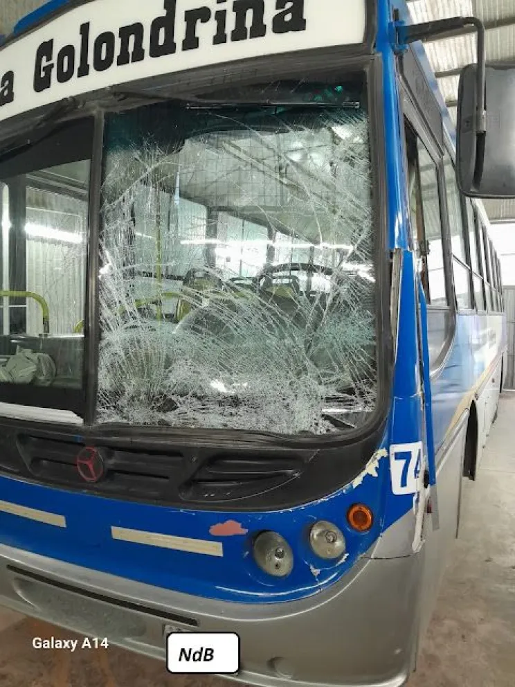 Transporte escolar chocó contra un caballo suelto en la zona de Mallín Ahogado