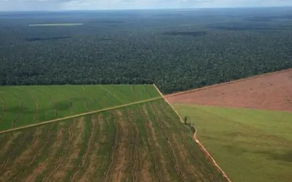 Fallo judicial declara inconstitucional la derogación de la Ley de Tierras
