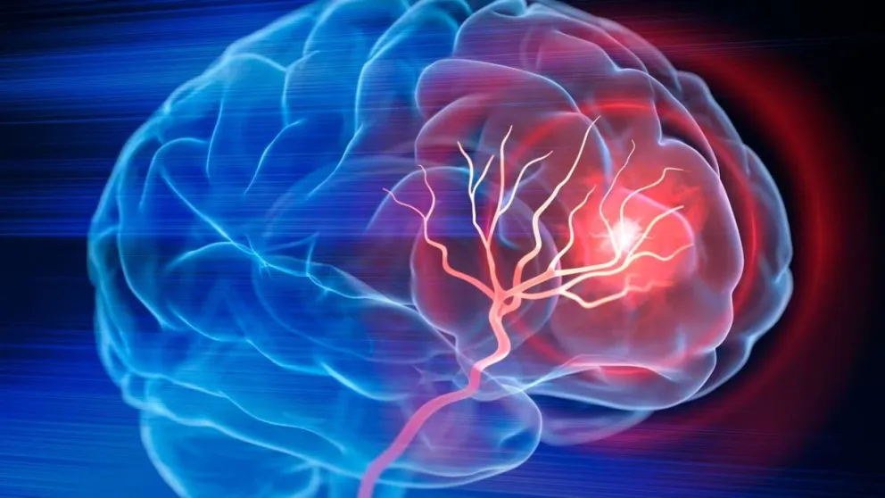 Los consejos de Harvard para una alimentación que potencie la salud mental y cognitiva