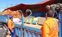 Incautaron más de 800 kg de cocaína oculta en zapallos en Salta