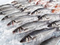 Recomendaciones para Semana Santa: cómo saber si un pescado está fresco o en mal estado