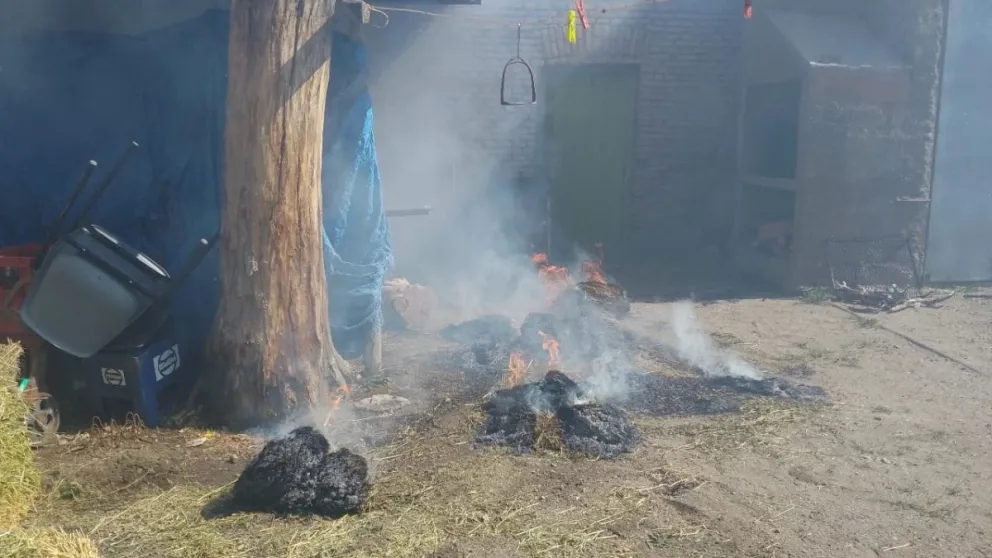 Bomberos voluntarios acudieron a un llamado por nido de avispas