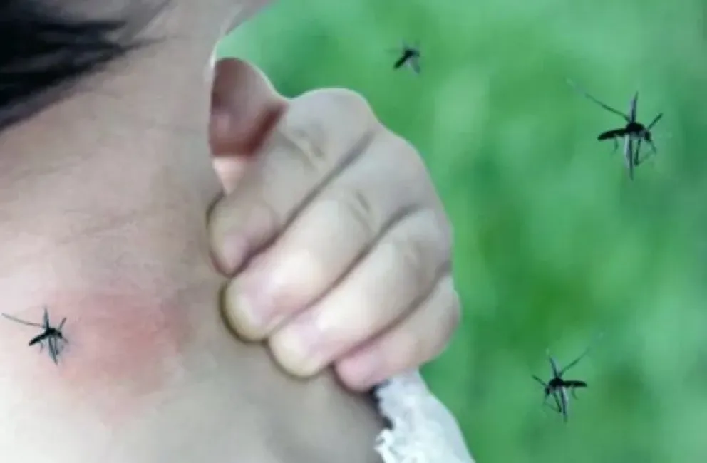 Brote de dengue: el Gobierno abre la importación de repelentes para enfrentar la crisis