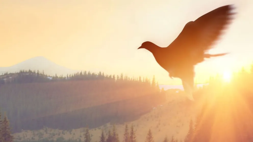 El Servicio de Sepelios de la CEB te asiste y orienta ante el fallecimiento de un ser querido