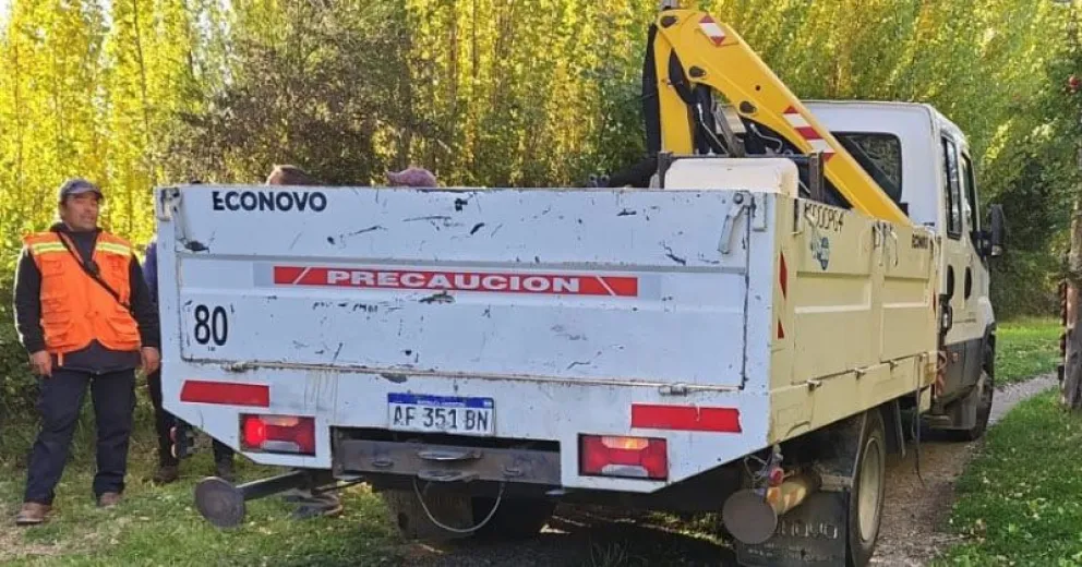 Hubo corte total de tránsito en Las Chacras por peligro de caída de un árbol