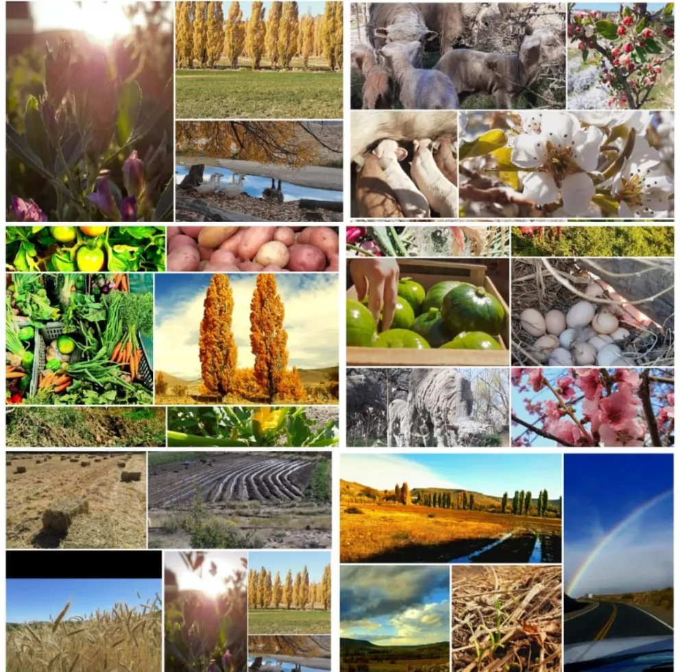 Invitan a la comunidad a la gran feria de emprendedores