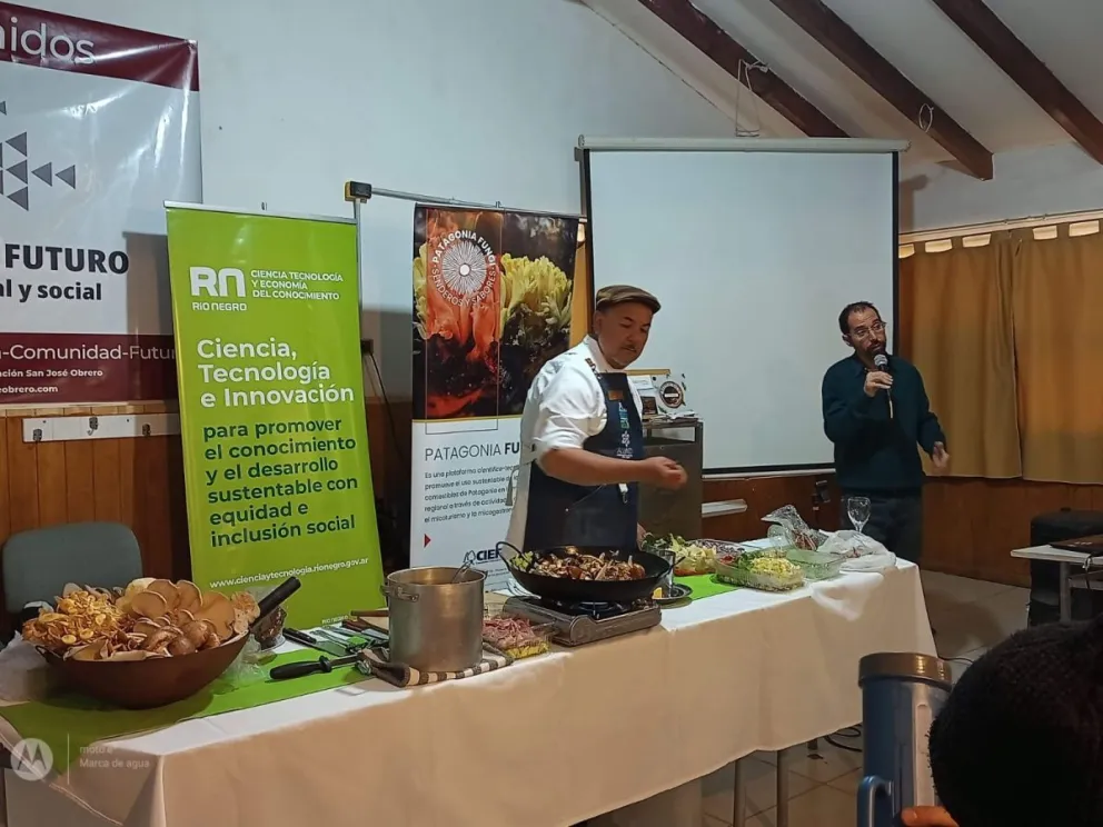 No sólo de hongos de pino vive el hombre