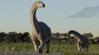 Científicos del Conicet encontraron restos de un dinosaurio: vivió hace 66 millones de años en la Patagonia