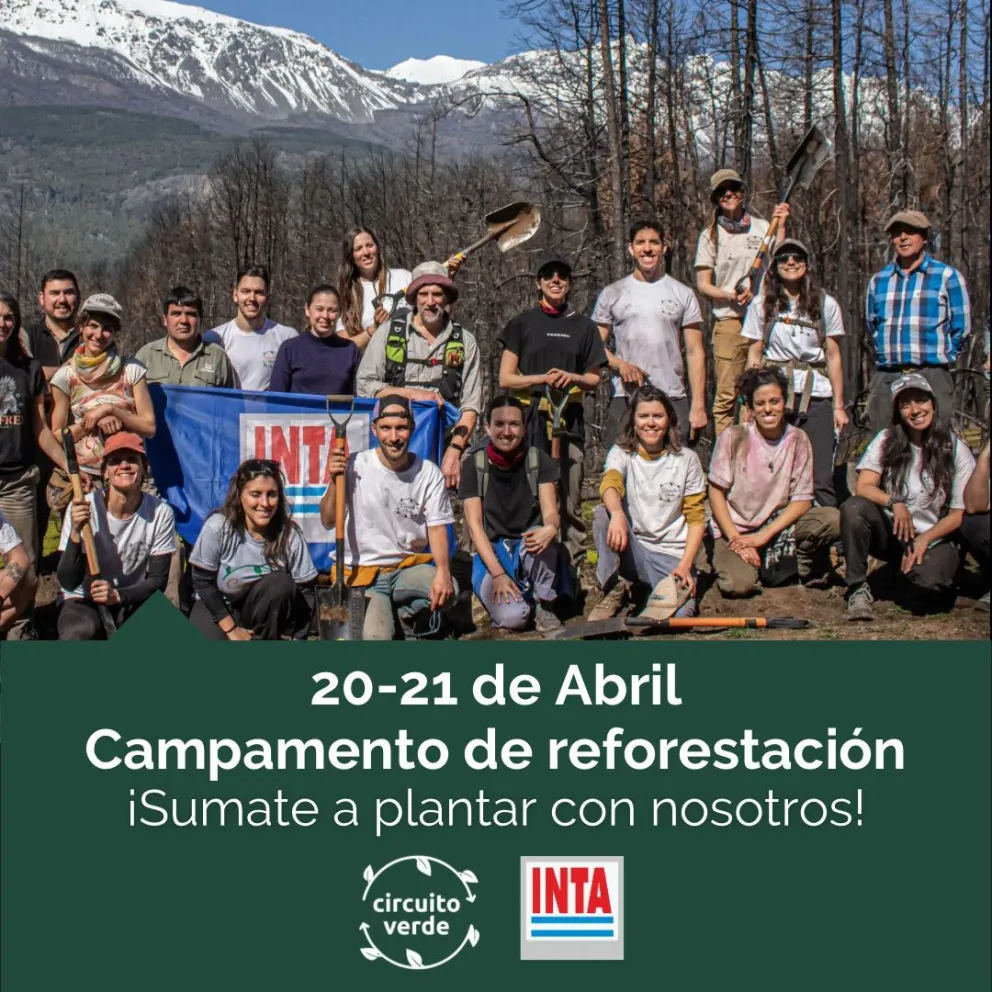 INTA Bariloche convoca a campamento para reforestar área afectada por el incendio en Cascada Escondida