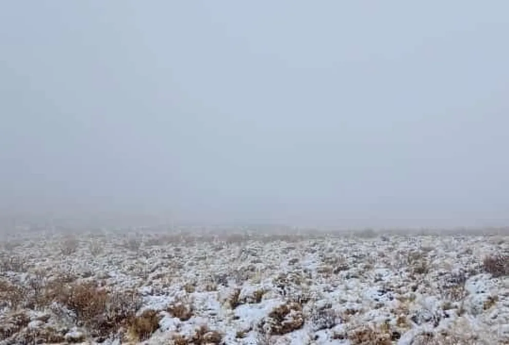 Llegó la primera nevada del año en la Línea Sur