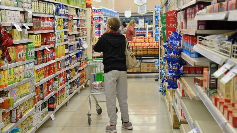 Con el gobierno de Milei, la canasta básica aumentó en un 300%