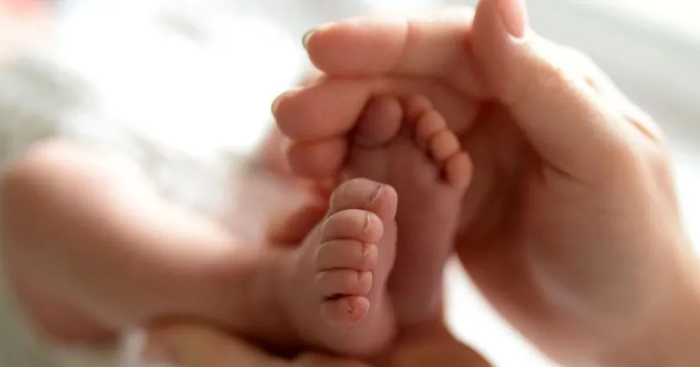 Brindarán curso de crianza responsable