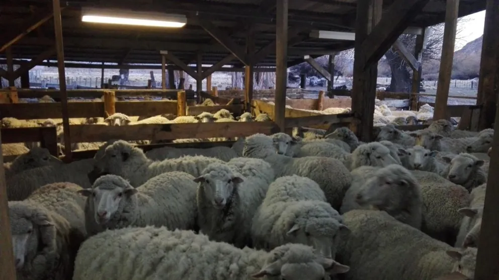 Invitan a una nueva jornada de Tranquera Abierta en Estancia Chacabuco