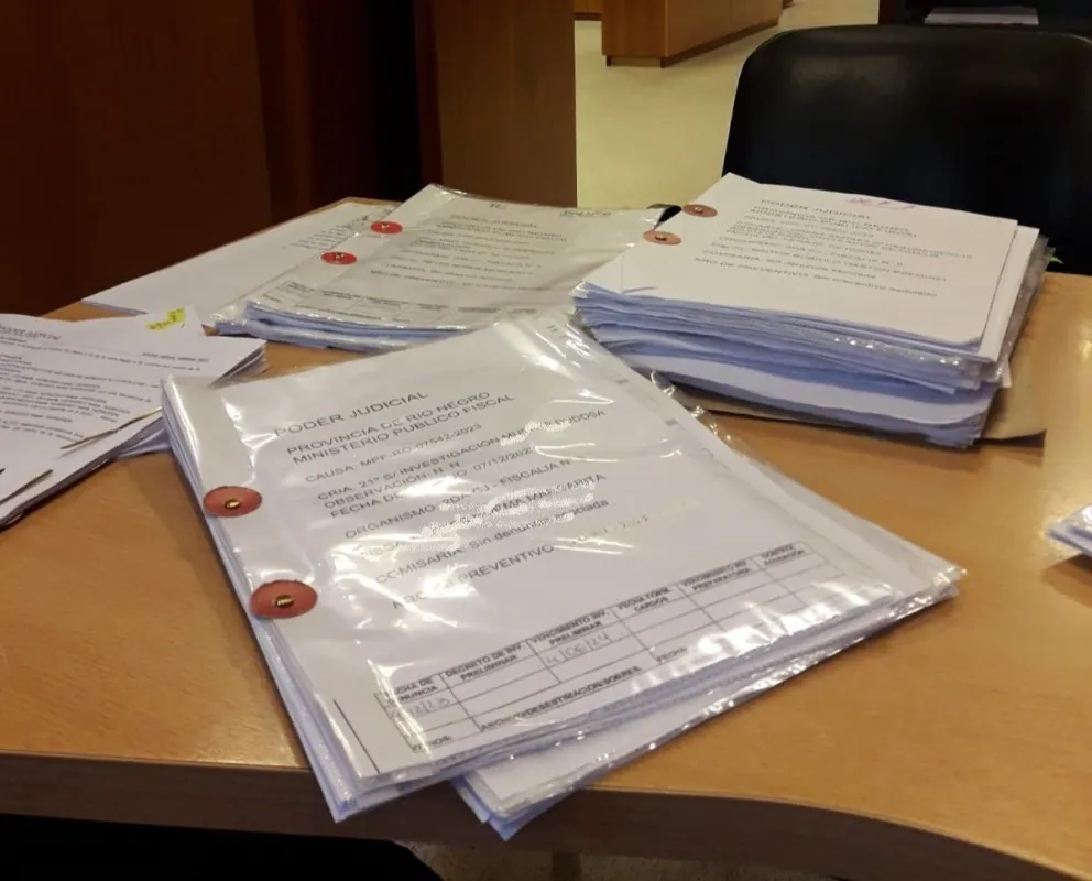 ¿Cuáles fueron los delitos más frecuentes durante del 2023 en Río Negro?