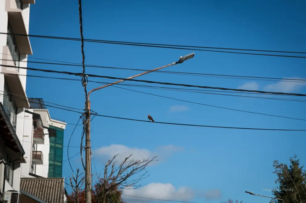 Para tener en cuenta y tomar las precauciones necesarias / Foto Facu Pardo 
