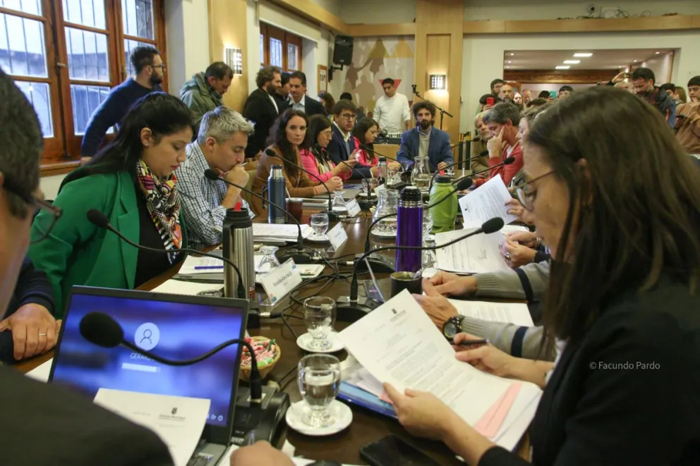 Concejo: casi la mitad de los proyectos, son declaraciones de interés o comunicaciones