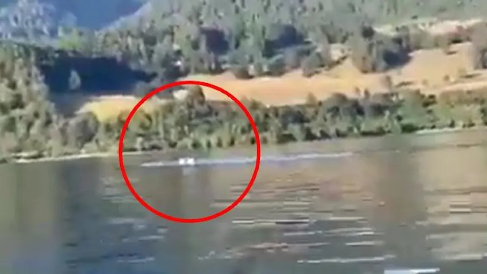 ¿Filmaron a un Nahuelito trasandino en las aguas del lago Ranco?