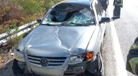 Un automóvil con una familia barilochense chocó contra un caballo en el camino a El Bolsón 