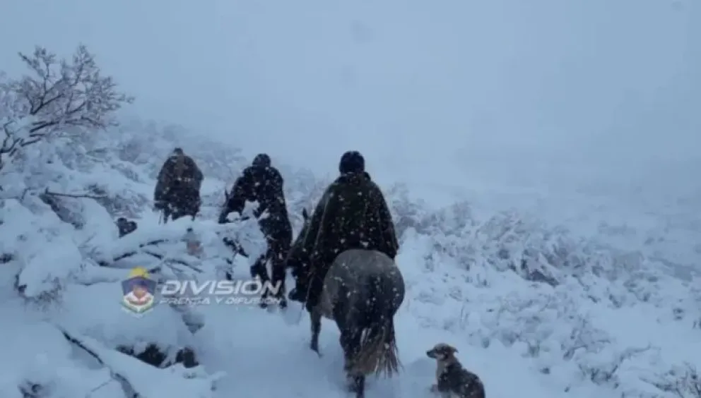 Policía advirtió a crianceros a que agilicen su regreso a las invernadas por temporal 