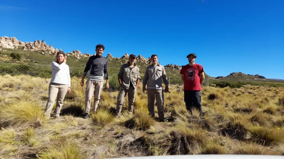 Gracias al banco de semillas del INTA Bariloche, se logró plantar 56 cipresitos