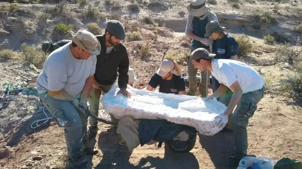 Un dinosaurio que vivió hace 90 millones de años fue encontrado cerca de El Chocón