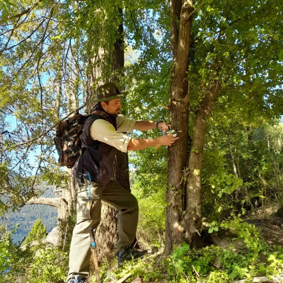 Realizan nueva demarcación y trazado en la senda al Mirador Bandurrias