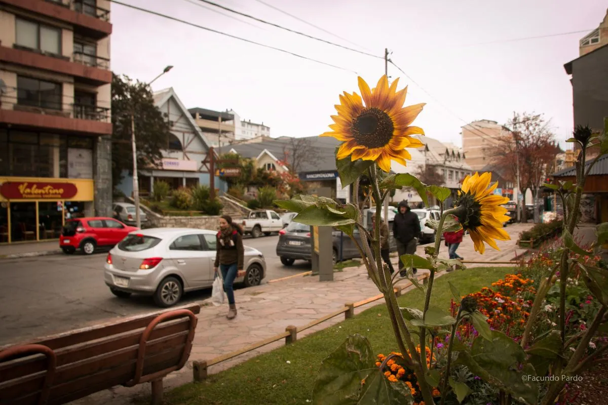 Marcado descenso de temperatura hacia el domingo en Bariloche